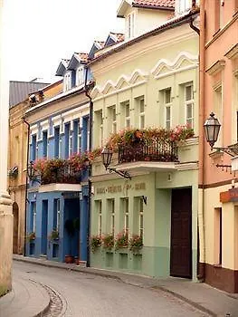 Apia VNO